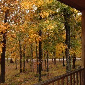 Meet your Posher, Fran